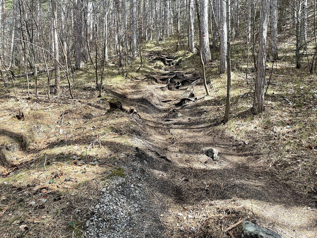 IMG_2073.jpg - Jetzt wird es ordentlich steil.