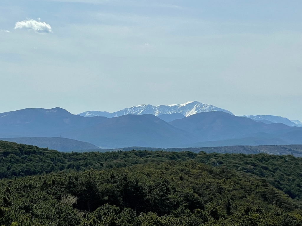 IMG_2079.jpg - Blick auf den Schneeberg.