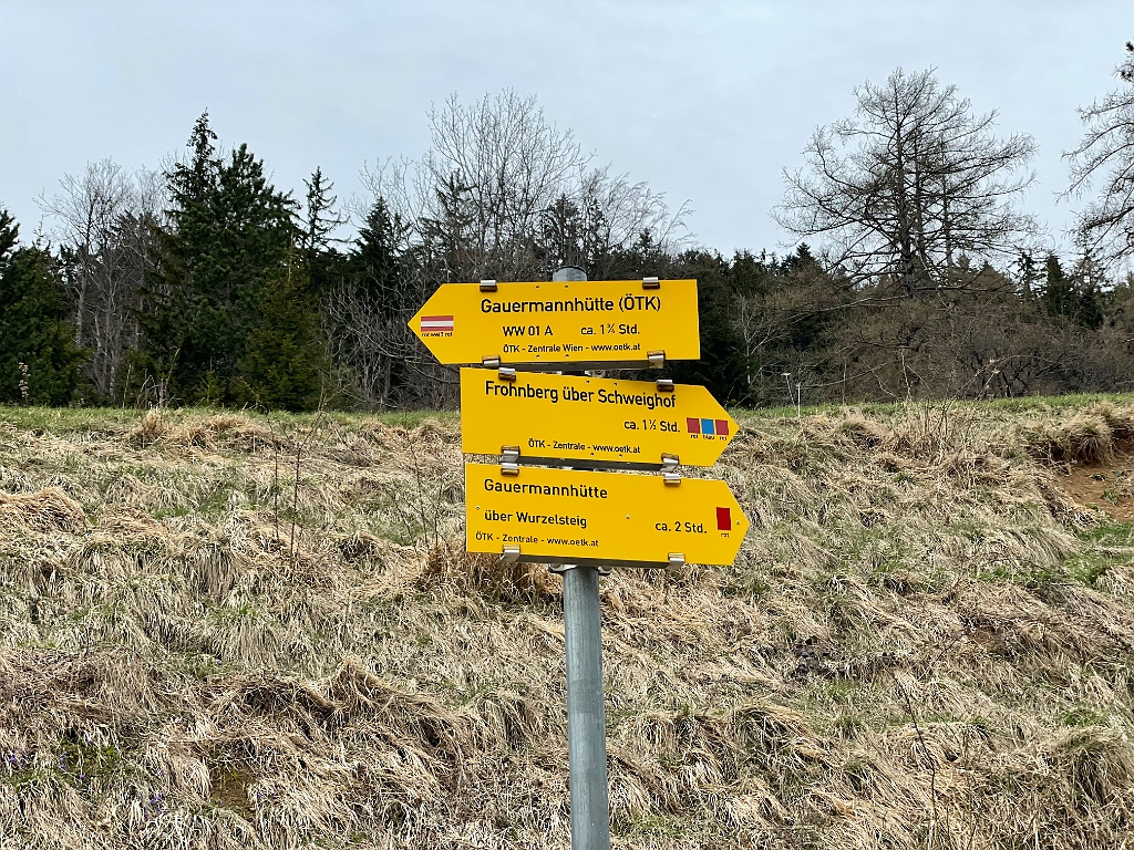 IMG_2180.jpg - Hier wird sich unsere Runde schließen, wir gehen den Wurzelsteig hinauf.
