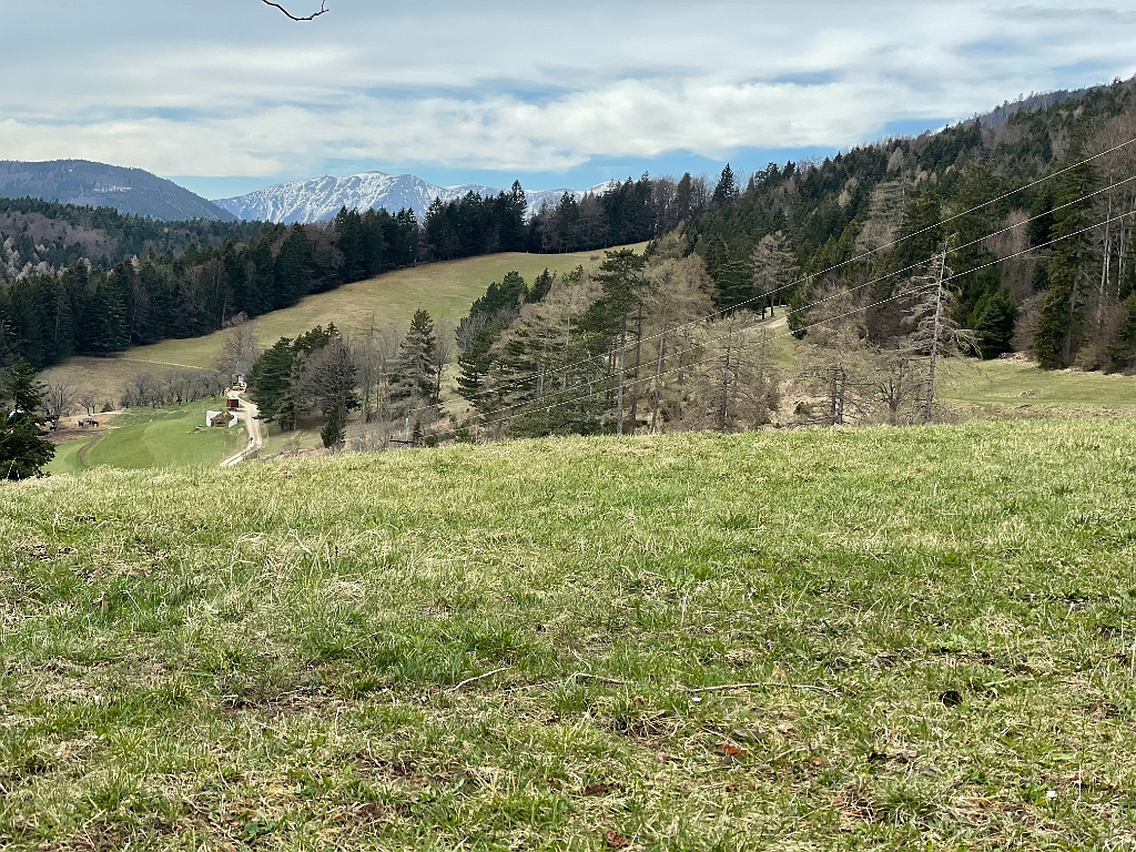IMG_2181.jpg - Blick auf den Schneeberg