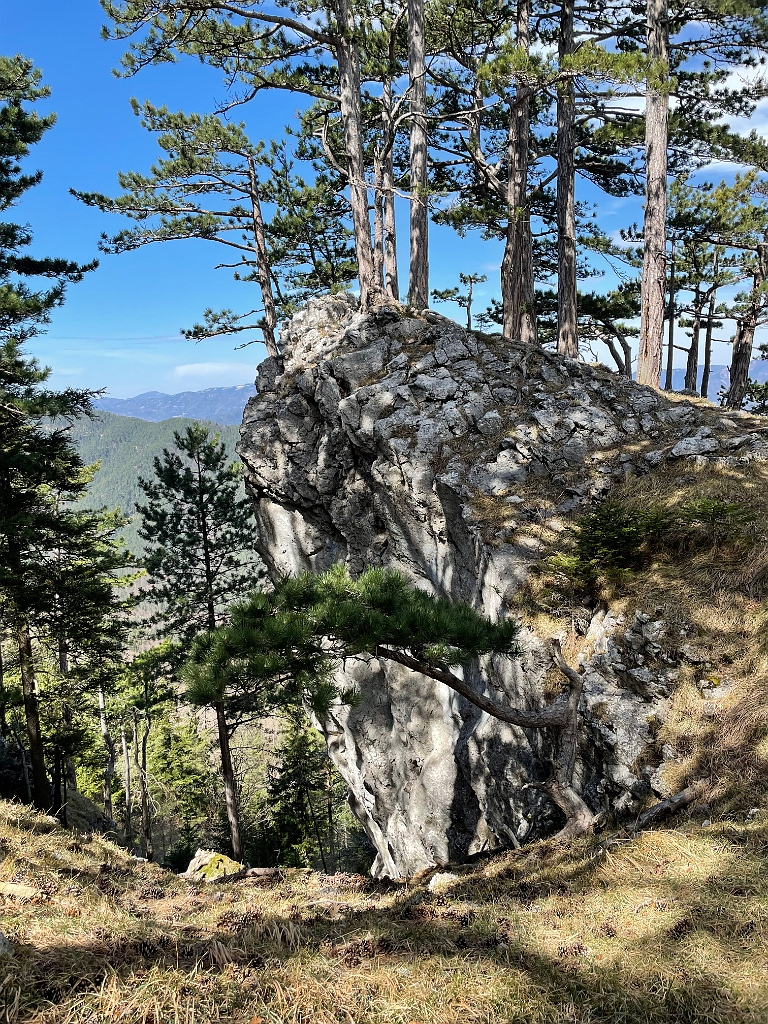 IMG_2190.jpg - Aussichtsfelsen.