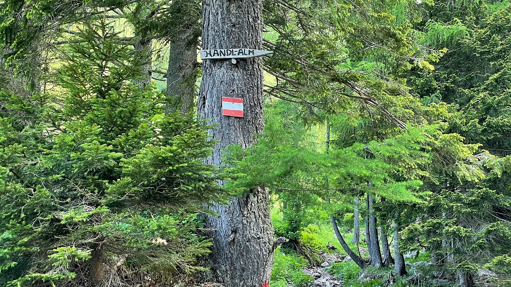IMG_2815.jpg - Ich gehe unten rechts rüber zur Handlalm. Etliche Wanderer gehen Richtung Polster und vor allem zur Hütte.