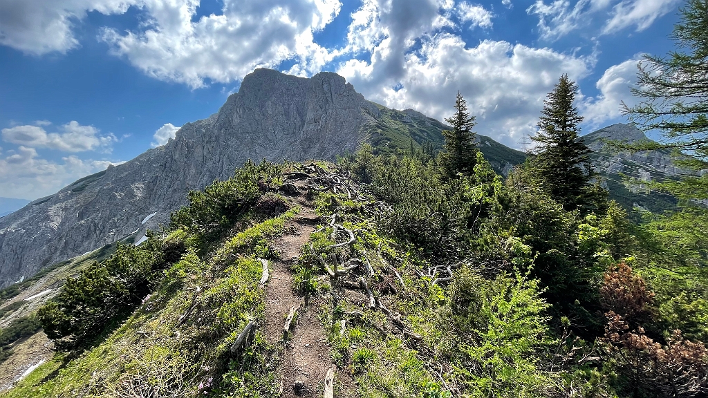 IMG_2831.jpg - Und weiter. Den Weg kenne ich noch nicht, oder kann mich icht erinnern, normal gehe ich rechts rum.