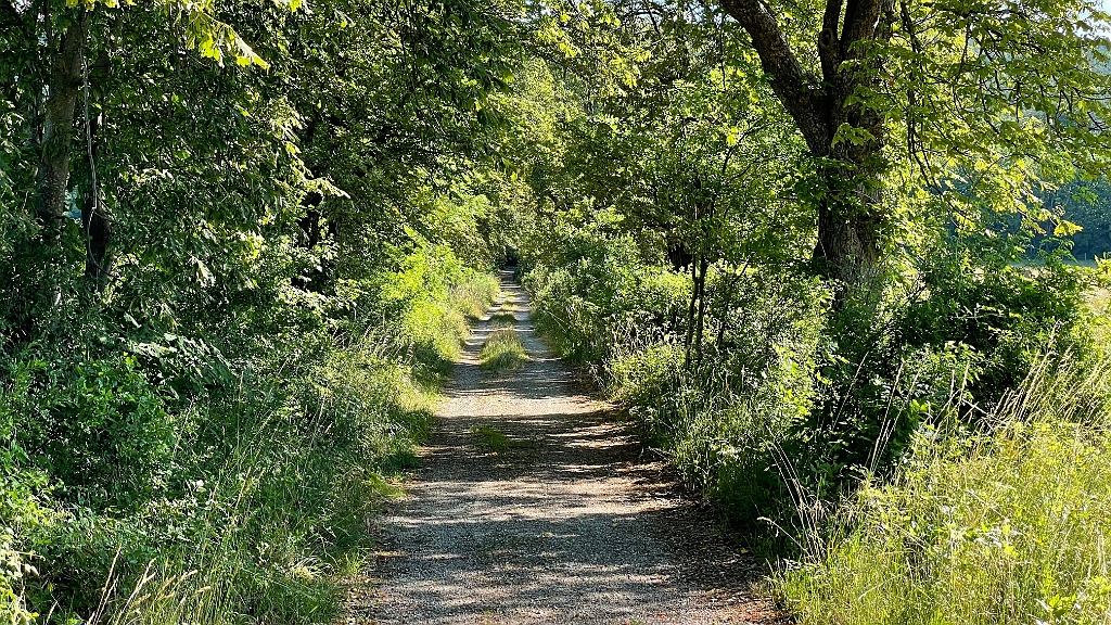 IMG_2971.jpg - Ich gehe nicht die "Rampe" sondern umgehe sie. Das ist ein umweg, aber nett.