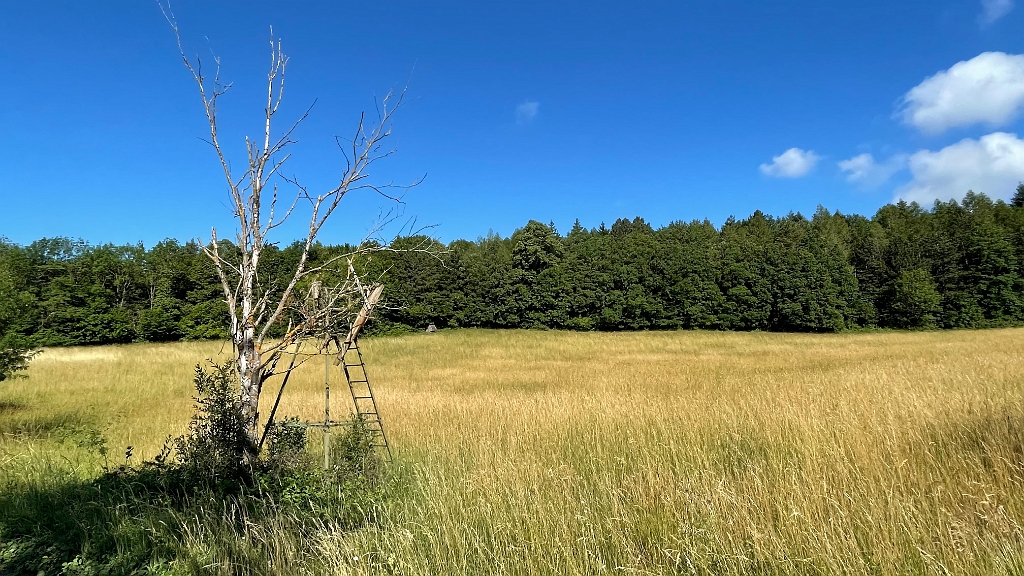 IMG_2974.jpg - Herrliches Wetter