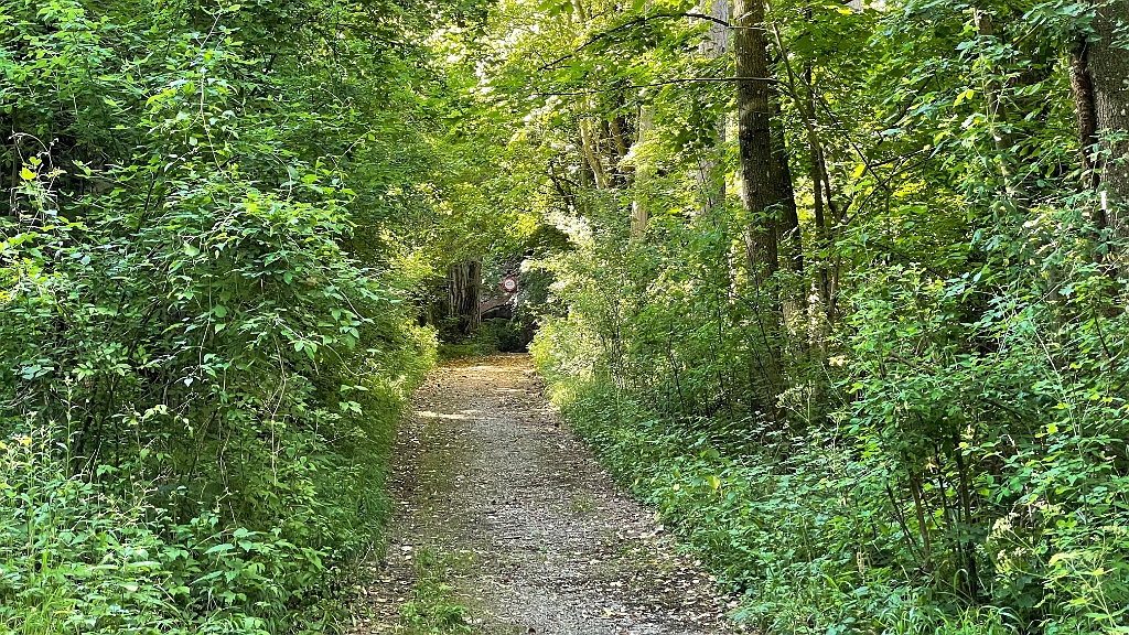 IMG_2976.jpg - ..und Ruine Merkenstein.