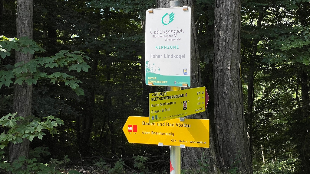 IMG_2980.jpg - Ich gehe nicht den Aufstiegsweg hiunter sondern weiter zum Brennersteig