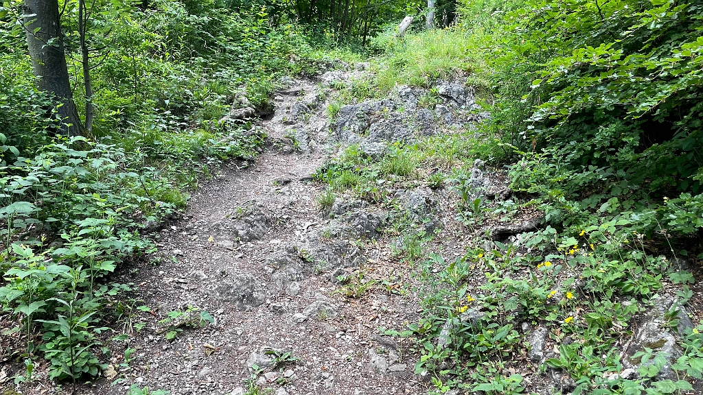 IMG_2982.jpg - Ich erreiche den Brennersteig, Blick zurück