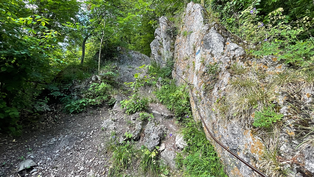 IMG_2986.jpg - Blick zurück