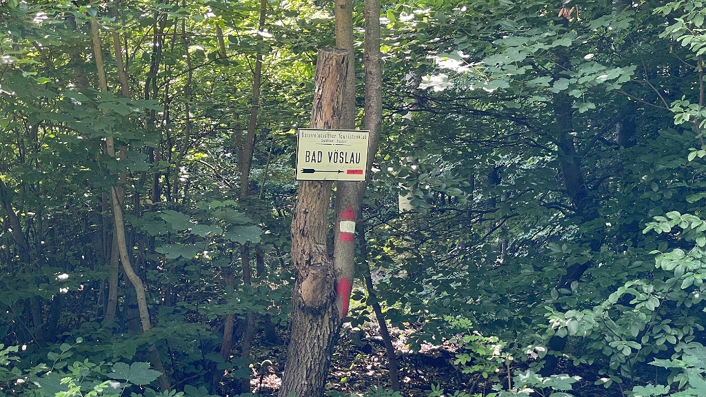 IMG_2988.jpg - Kreuzung zum Karlgraben