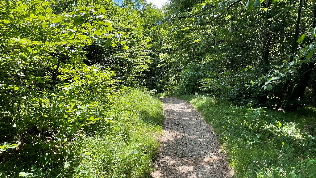 IMG_2991.jpg - Ich beschließe nach Hause zu gehen, ja, nach Hause, nicht zum Auto- nach Hause.