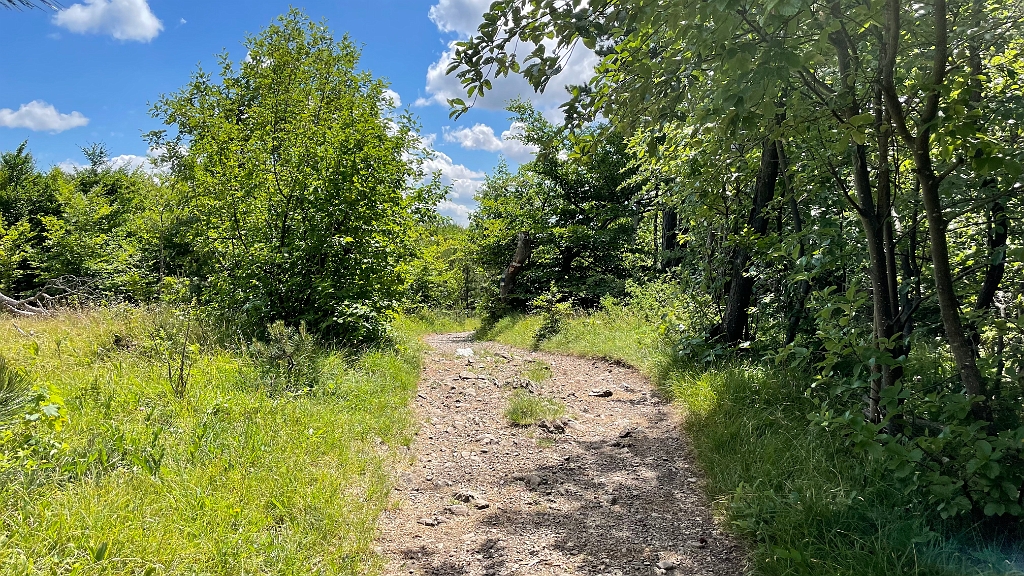 IMG_2992.jpg - Es ist ja auch ein schöner Weg hier heroben, wenn auch weit.