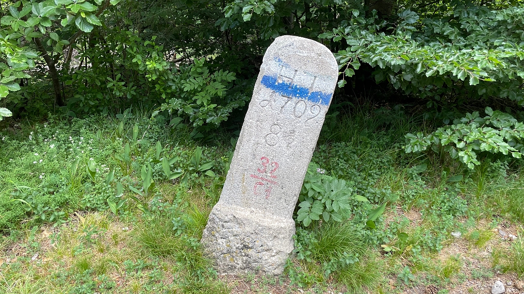 IMG_2994.jpg - Grenzstein aus 1709