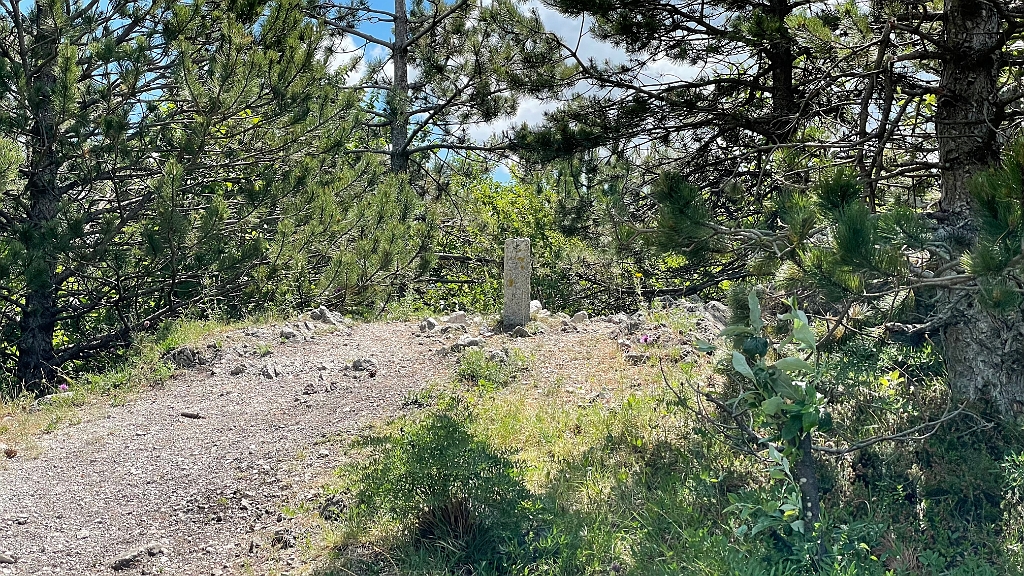 IMG_2996.jpg - "Gipfel" des Hinteren Lindkogels