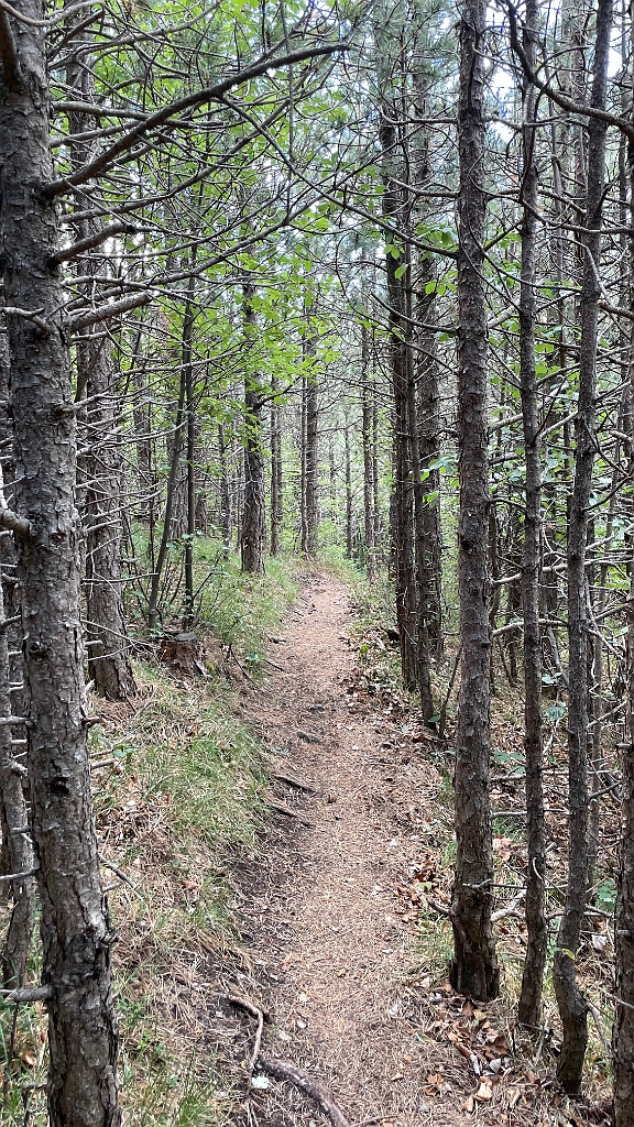 IMG_3004.jpg - Weiter gehts...