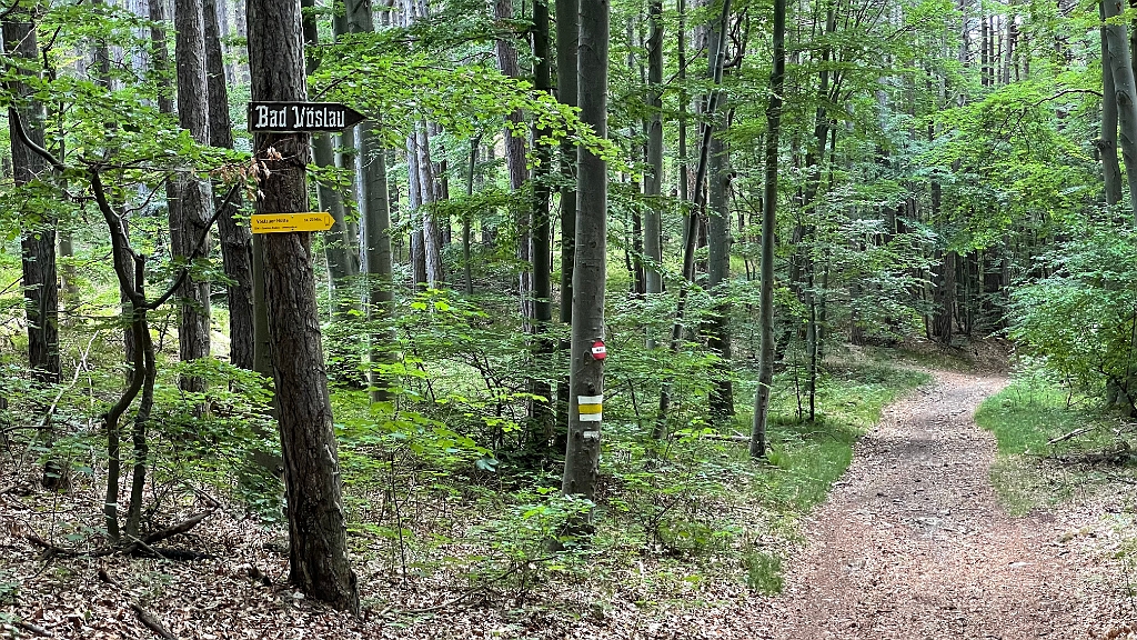 IMG_3005.jpg - Abstieg zur Vöslauer Hütte