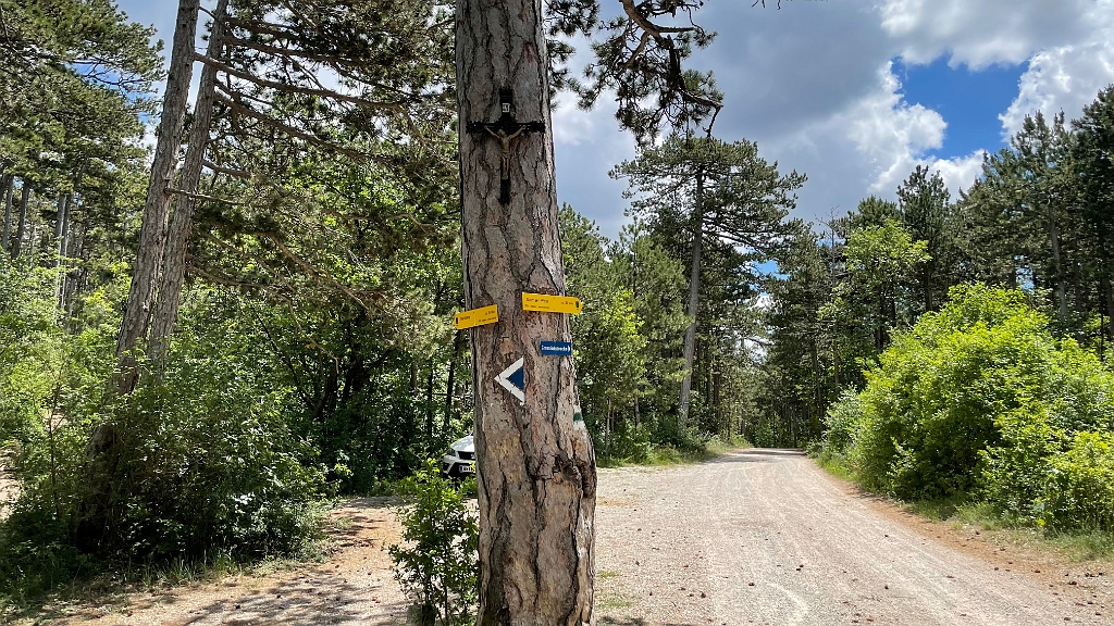 IMG_3009.jpg - ..geht es nun zum Harzberg