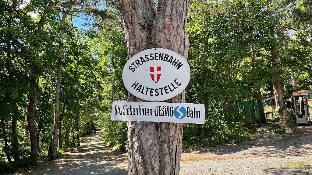 IMG_3014.jpg - Ob die kommt?