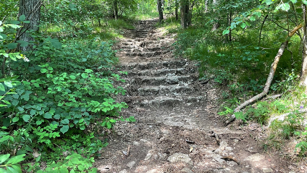 IMG_3017.jpg - Ich verlasse mich nicht darauf und steige steil über die Felsenstufen ab.