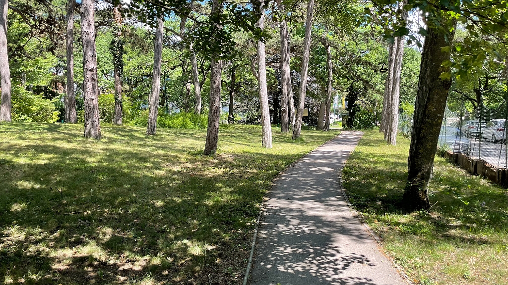 IMG_3019.jpg - ..Noch durch den Kurpark. Da  bin ich daheim Das Auto holen wir noch vor dem EM-Achtelfinale gegen Italien. (1:2- legendär)