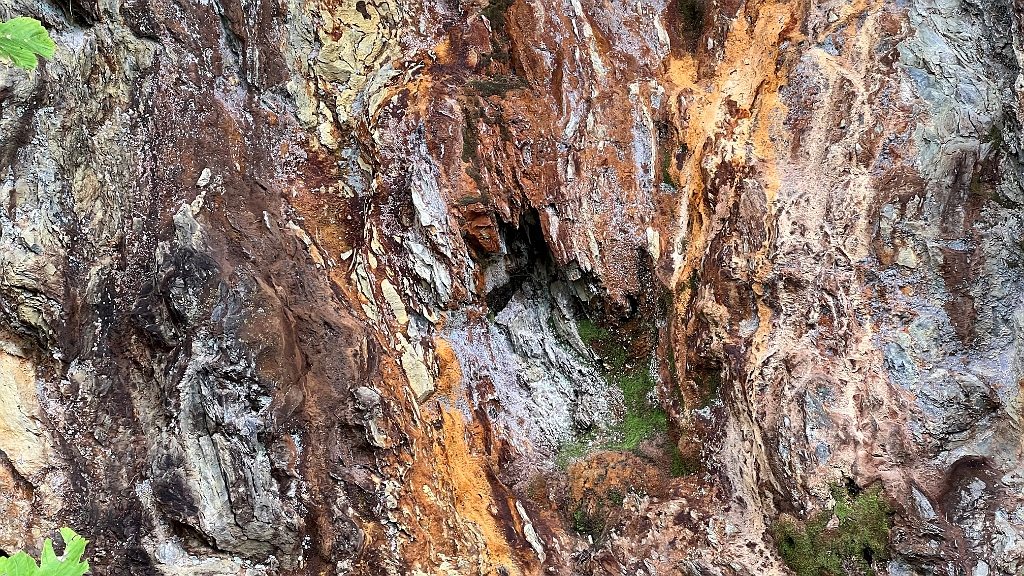 IMG_9641.jpg - Diese Farbkombination am Felsen sah auch noch nett aus.