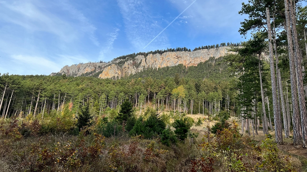 2022.11.12 08.55.05.jpg - Auch der Wald wurde an vielen Stellen gerodet