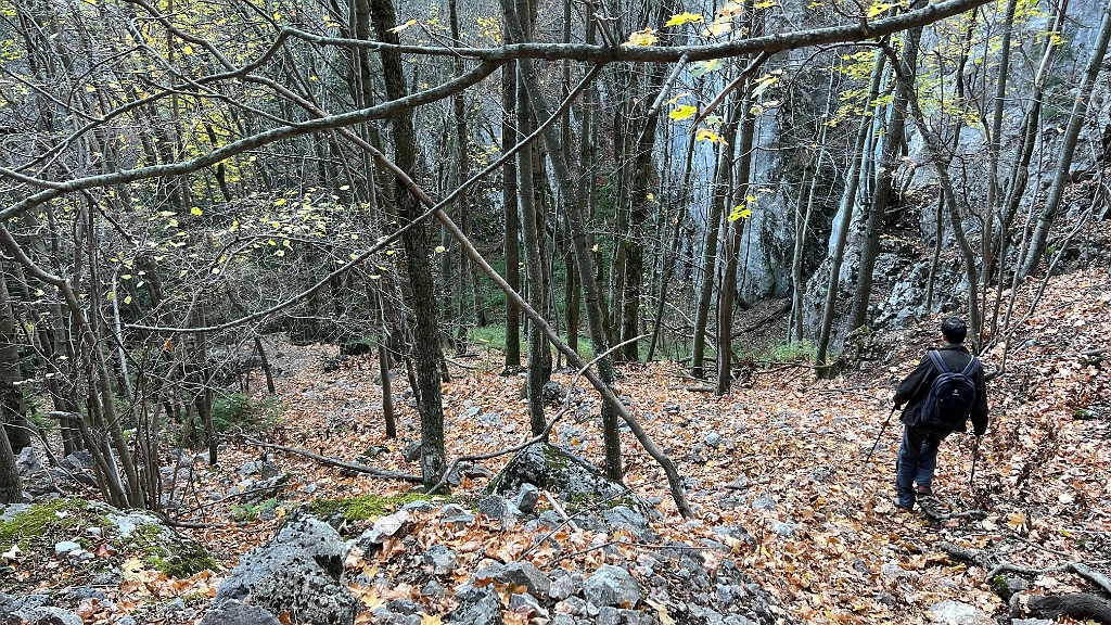 2022.11.12 13.33.59.jpg - Schon steil